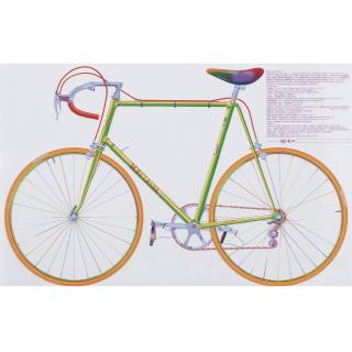 Greg Richard Curnoe - Mariposa T.T.