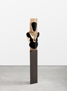 Gregor Gaida - Echo vigilantis.