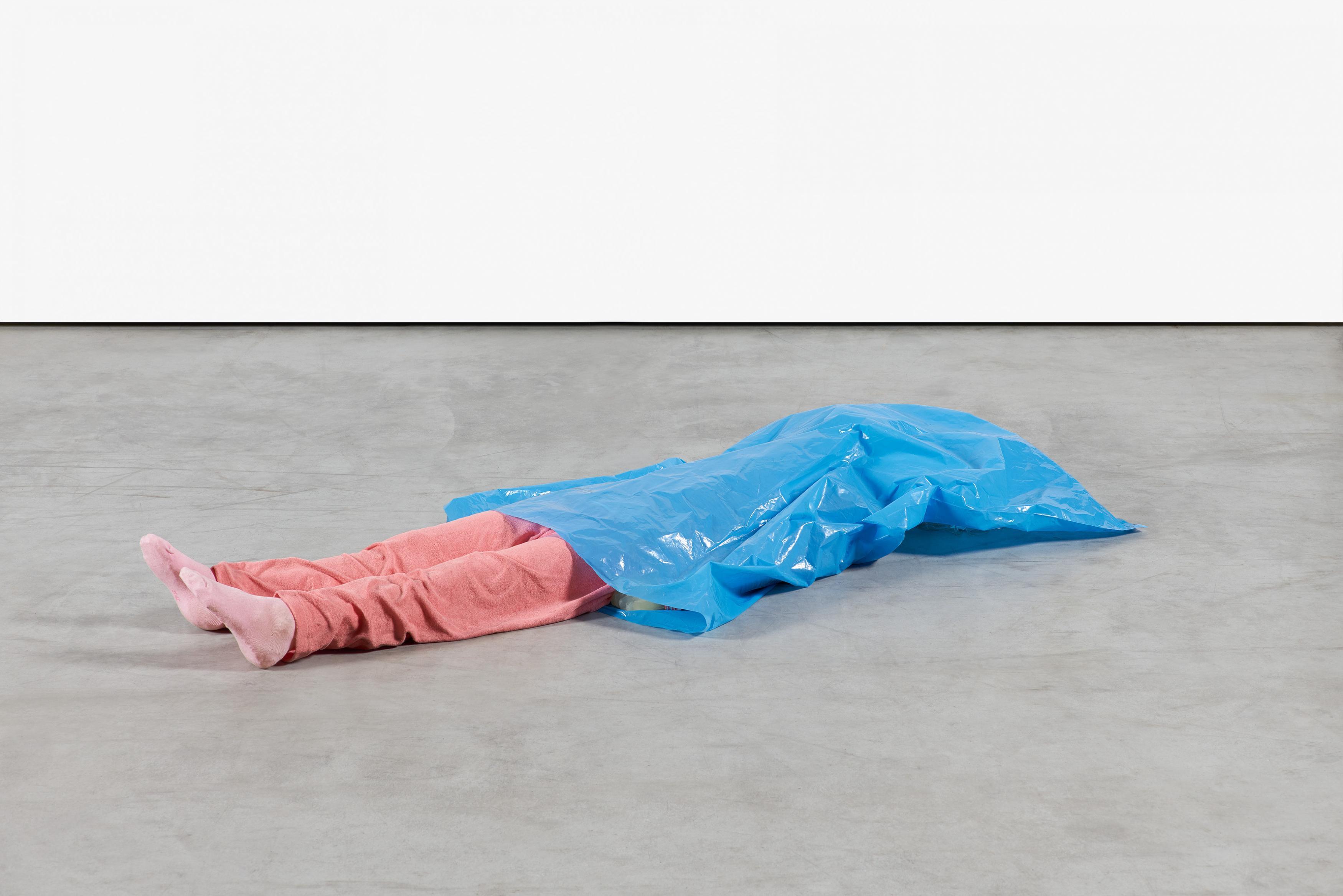 Gregor Schneider - Der Wunschsohn.