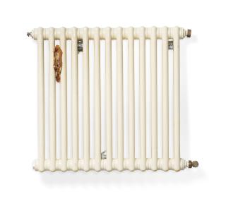 Gregor Schneider - Heizkörper (Radiator)