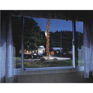 Gregory Crewdson - American Untitled (Flower Beanstalk)