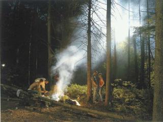 Gregory Crewdson - Production Still (Forest Gathering #2)
