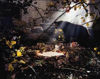 Gregory Crewdson - Untitled (Bear with Pool of Milk)