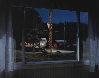 Gregory Crewdson - Untitled (Flower Beanstalk)