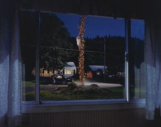 Gregory Crewdson - Untitled (Flower Beanstalk)