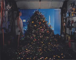 Gregory Crewdson - Untitled (flower mound)