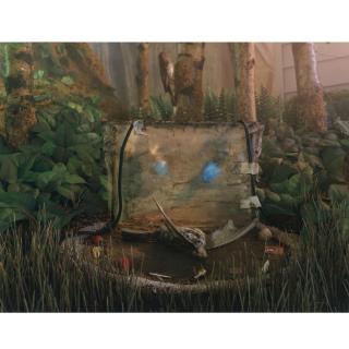 Gregory Crewdson - Untitled (From Natural Wonder Series)