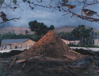 Gregory Crewdson - Untitled