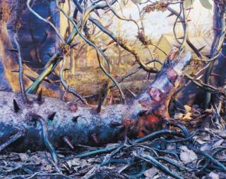 Gregory Crewdson - Untitled