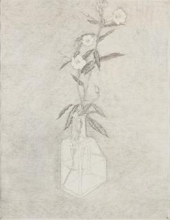 Gregory Masurovsky - Fleurs