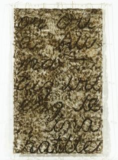 Gu Wenda - Metamorphosis: Pseudo Latin