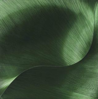 Gülay Semercioglu - Yesil Yapsal (\'Green Leaf\')