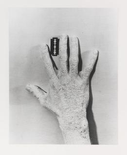 Günter Brus - Selbstbemalung I