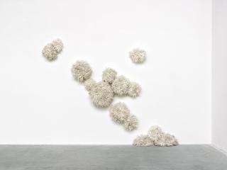 Günter Weseler - New Species (14 Atemobjekte)