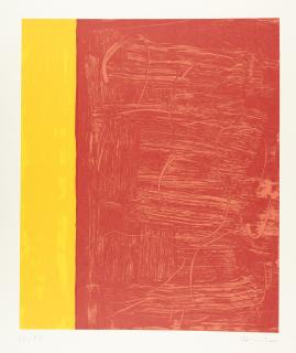 Günther Förg - Pariser Serie