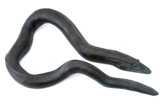 Günther Grass - An Eel.