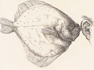 Günther Grass - Günther Grass, Liebe geprüft, Edition Bremen bei Schünemann, 1974