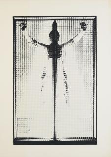 Günther Uecker - Ohne Titel.