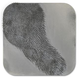 Günther Uecker - Organische Struktur XII: Diagonale Struktur „Zeusfuß\