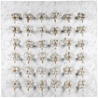 Günther Uecker - Reihung (Flamboyant Death Of 36 Aloes)