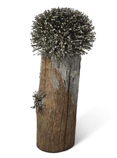 Günther Uecker - Untitled (Baum) (Tree)