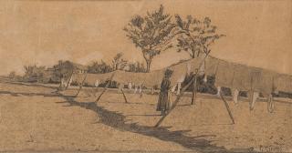 Guglielmo Ciardi - Panni al sole