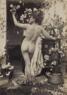 Guglielmo Plüschow - Ohne Titel