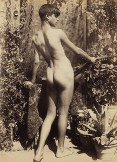 Guglielmo Plüschow - Ohne Titel