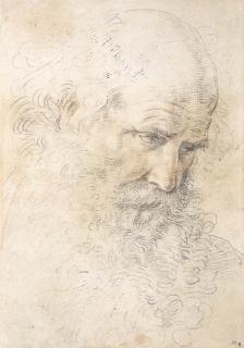 Guido Reni - The Head Of A Bearded Man Looking Down