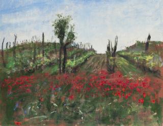 Guido Tallone - I papaveri di Torcello