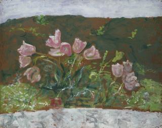 Guido Tallone - Tulipani rosa