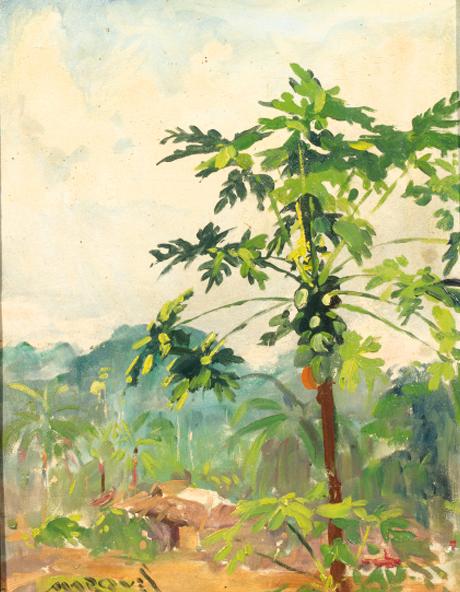 Guilherme D\'Oliveira Marques - Coconut tree