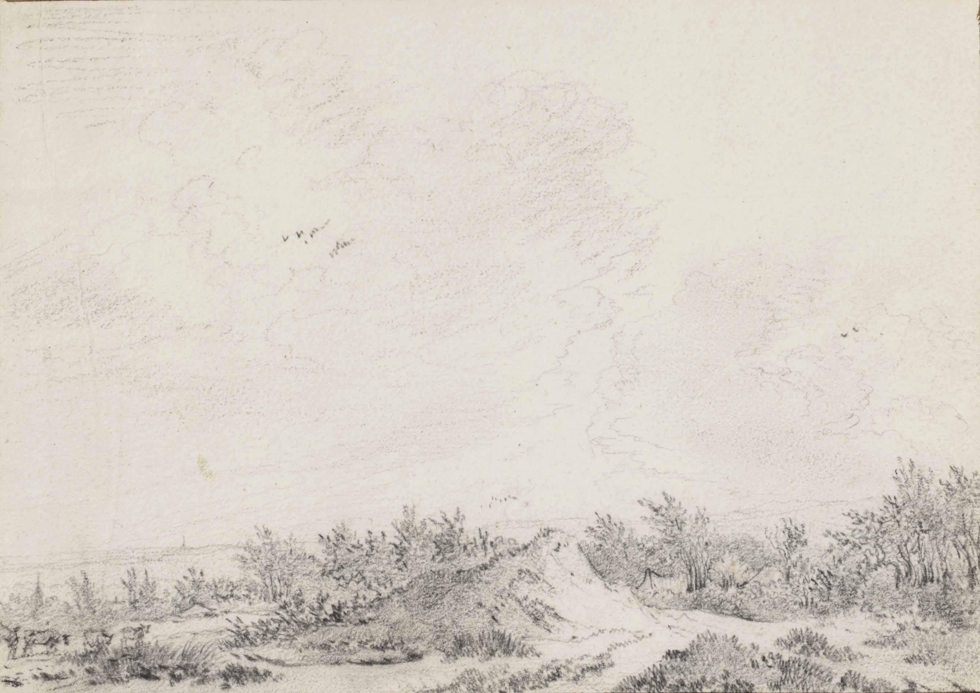 Guillaume Dubois - A dune landscape