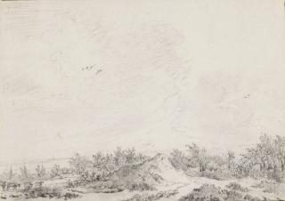 Guillaume Dubois - A dune landscape