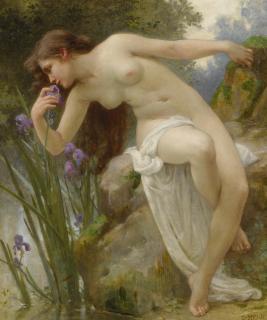 Guillaume Seignac - French the Fragrant Iris