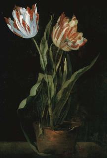 Guillaume-Thomas-Raphael Taraval - Still Life With Two Variegated Tulips In A Clay Pot