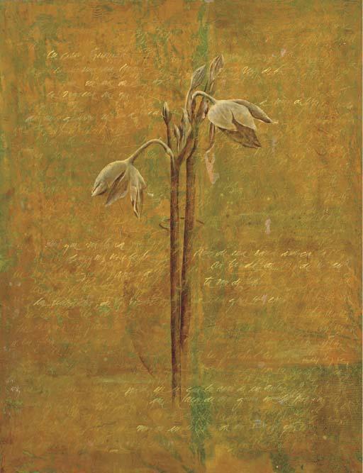 Guillermo Conte - Untitled