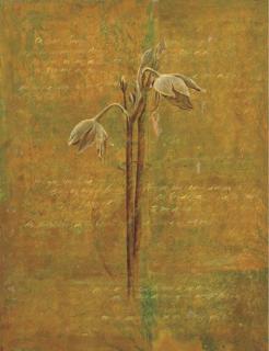 Guillermo Conte - Untitled