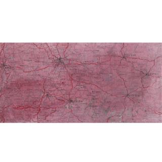 Guillermo Kuitca - Idea De Una Pasión