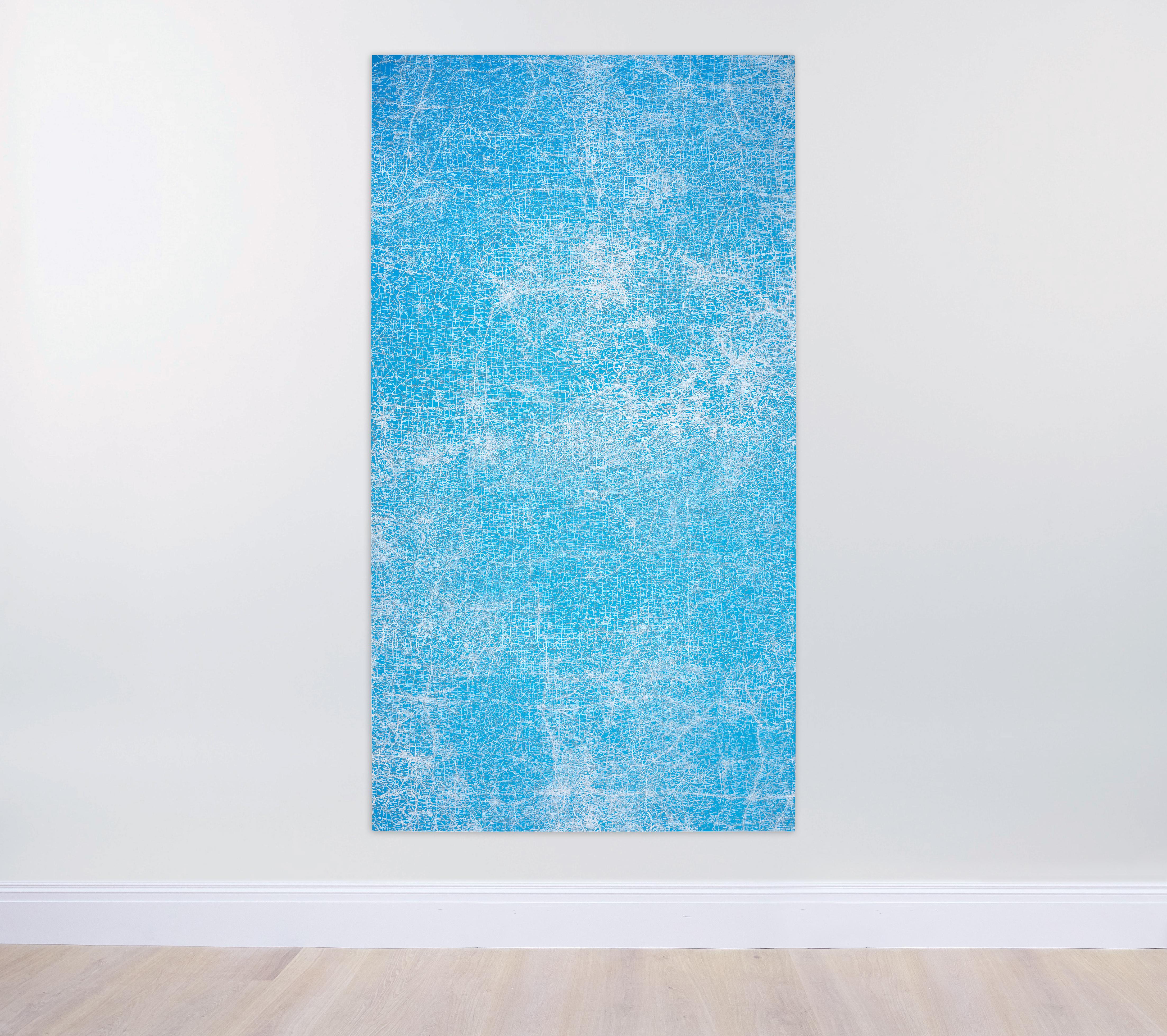 Guillermo Kuitca - Todo