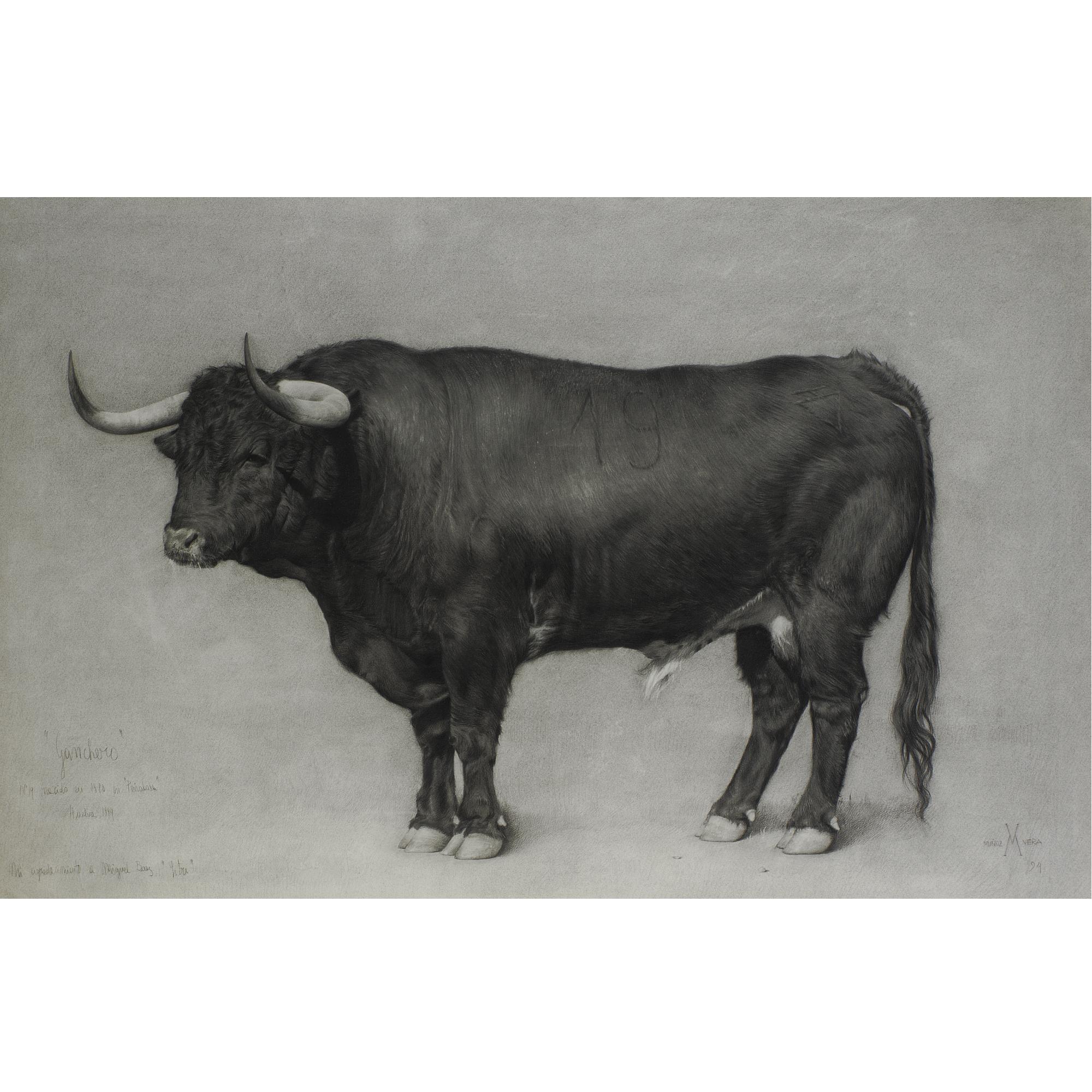 Guillermo Muñoz-Vera - Ganchero No. 19