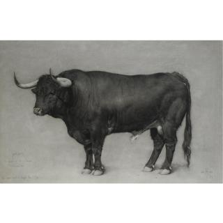 Guillermo Muñoz-Vera - Ganchero No. 19