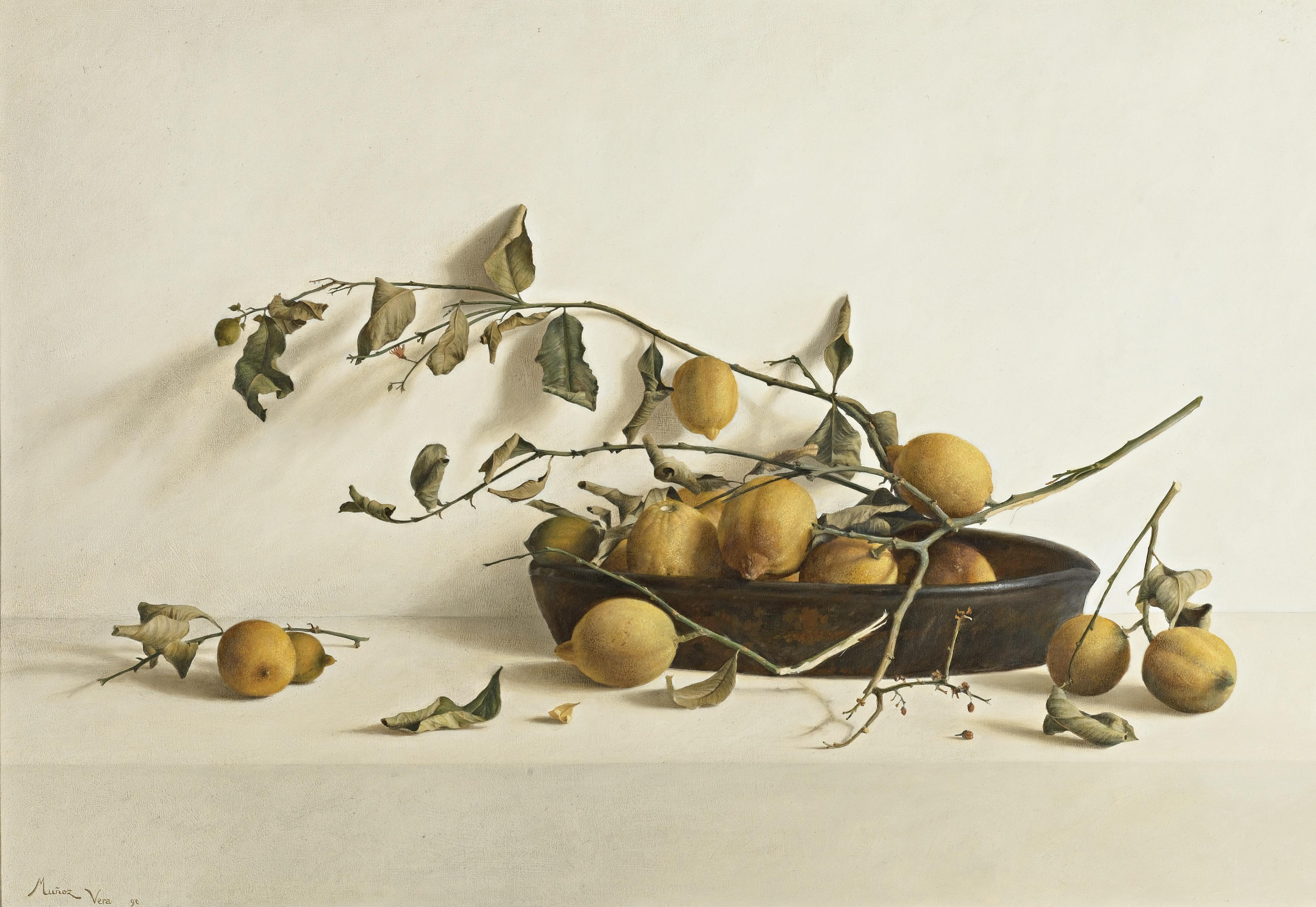 Guillermo Muñoz-Vera - Rama De Limonero