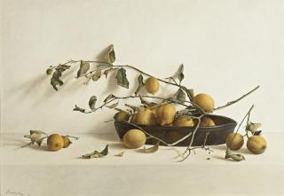 Guillermo Muñoz-Vera - Rama De Limonero