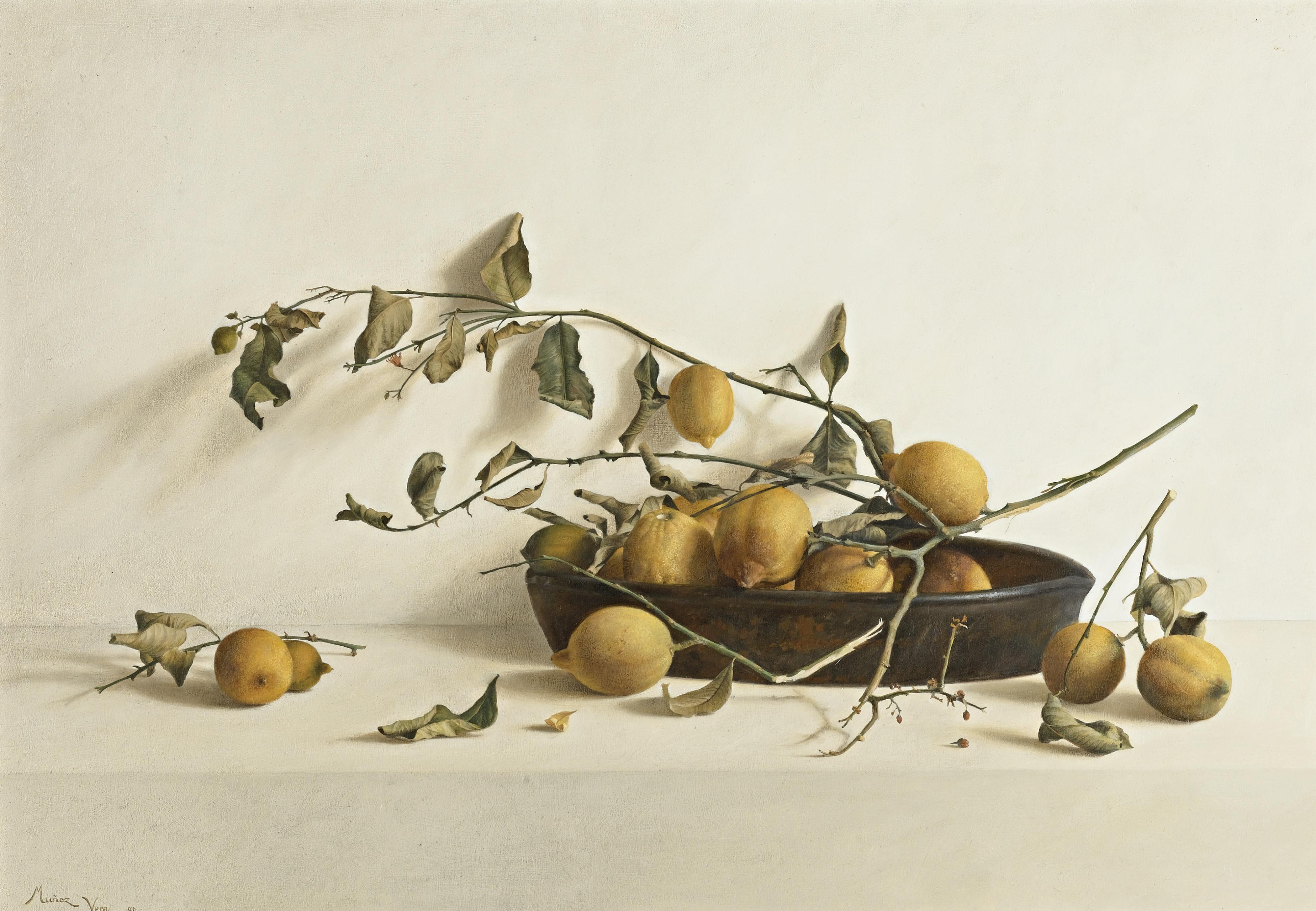 Guillermo Muñoz-Vera - Rama De Limonero