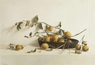 Guillermo Muñoz-Vera - Rama De Limonero