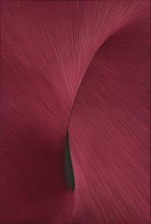 Gulay Semercioglu - Pure (From The Erotic Line Series)