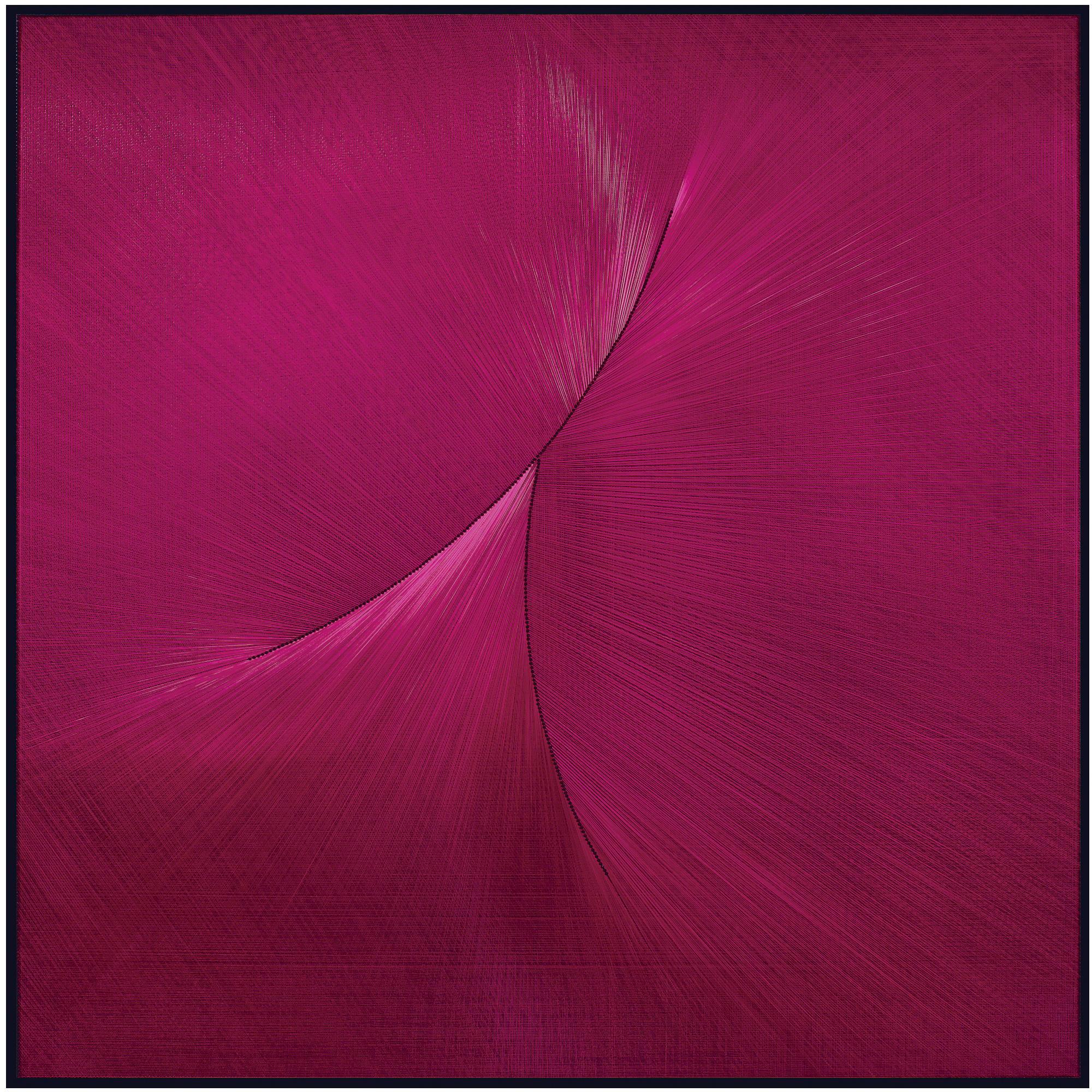 Gulay Semercioglu - The Pink Thing