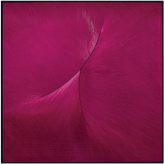 Gulay Semercioglu - The Pink Thing