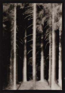 Gunnar Smoliansky - \